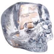 Kosta Boda - Still Life Lykta skull 8,5 cm Klar