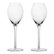 Sagaform - Saga Champagneglas 20 cl 2-pack