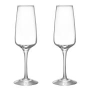 Orrefors - Pulse Champagneglas 28 cl 2-pack