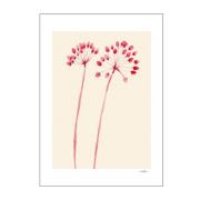 Poster & Frame - The Poster Club x Ana Frois poster 50x70 cm flowers 0...