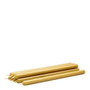 Stoff Nagel - Stoff Nagel stearinljus 23 cm 8-pack golden honey