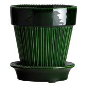 Bergs Potter - Simona Kruka/fat 16 cm Grön emerald