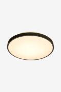 Aneta Lighting - Plafond LED Anillo - Svart - Plafonder - Från Homeroo...