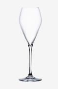 Spiegelau - Champagneglas Special Glasses Party 230 ml 6-pack - Transp...