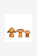 Wikholm Form - Svamp 3/S Honung - Orange - Prydnadssaker - Från Homero...