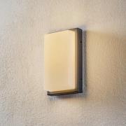 LCD Babett LED-utomhusvägglampa, rostfritt stål, glas, sensor