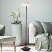 Q-Smart-Home Paul Neuhaus Q-ETIENNE LED-golvlampa, svart