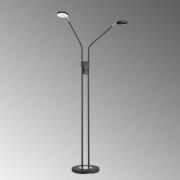 FH Lighting LED-golvlampa Lunia, 2 lampor, sandsvart