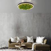 JUST LIGHT. LED-taklampa Green Ritus, moss dimbar Ø39.3cm