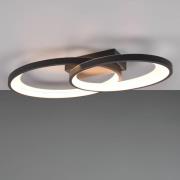 Reality Leuchten LED-taklampa Malaga med 2 ringar, svart