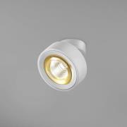 Egger Licht EGG DLS LED-spot Clippo Optic, vit/guld, Ø 12 cm, DTW