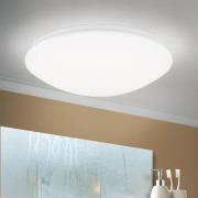 ORION LED-taklampa Nedo böjd, Ø 33 cm