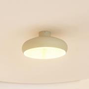 Lindby Elover taklampa, ljusgrön, Ø 45 cm, järn