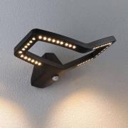 Paulmann LED-utomhusvägglampa Alara, antracit, IP44