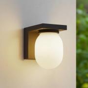 Lucande utomhusvägglampa Ovaali, glas, mörkgrå, IP65