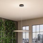 Deko-Light LED-hänglampa PANEL, svart, Ø 63 cm, metall, CCT dim 50 W