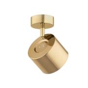 Argon Takspotlight Chloe, svängbar, 1 lampa, stål mässingsfärgad