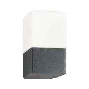 LCD Utomhusvägglampa Linus, grafit, stål, opalglas, E27
