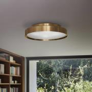 Oluce taklampa Berlin, Ø 50 cm, mässingsfärgad anodiserad
