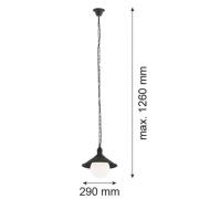 Argon Utomhushänglampa Enduro, svart, stål, glas, IP44, E27