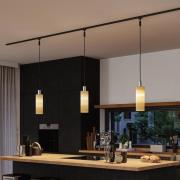 Paulmann URail lampskärm Vitus 2Easy, trä, Ø 11 cm