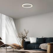 PURE LED-taklampa Lines, Ø 50 cm, vit CCT, fjärrkontroll
