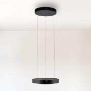 Paul Neuhaus LED-pendellampa Q-Stretto, svart, 40,8 cm