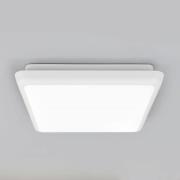 Arcchio LED-taklampa Augustin, 25 x 25 cm, vit, IP54