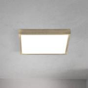 ORION LED-taklampa Disc, antik mässingsfärg, längd 24 cm, CCT