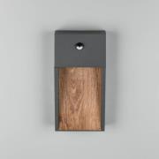 Trio Lighting LED-sensor-utomhusvägglampa SALMON, träoptik, höjd 33 cm...