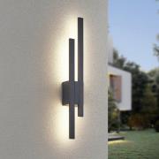 Trio Lighting LED-utomhusvägglampa TAWA, antracit, 62 cm metall 2 lamp...