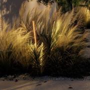 Wever & Ducré Lighting WEVER & DUCÉ LED-markspettslampa Reed 1.0 antra...