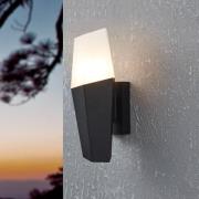 EGLO Utomhusvägglampa Farindola i svart/vitt