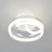 Trio Lighting LED-vägglampa Tarsia, matt vit, Ø 21,5 cm, glas