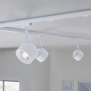 Paulmann URail LED-spot Pane, signalvit, 4000K, dimbar