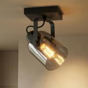 Freelight Fumoso takspotlight, längd 13,5 cm, svart/rökgrå