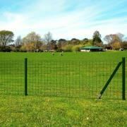 vidaXL Eurofence stål 10x0,8 m grön