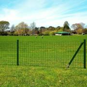 vidaXL Eurofence stål 10x1,5 m grön
