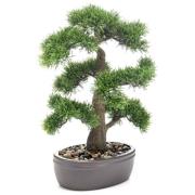 Emerald Konstväxt cederbonsai med brun bruka 45 cm