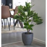 House Nordic Konstträd Magnolia 90 cm grön