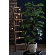 Emerald Konstväxt Monstera på pelare 150 cm