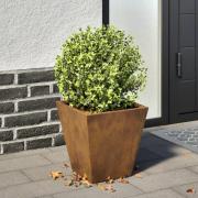 vidaXL Planteringskärl för trädgård 30x30x30 cm väderbeständigt stål