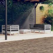 vidaXL Loungegrupp med antracit dynor 6 delar massiv furu