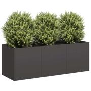 vidaXL Kruka svart 120x40x40 cm kallvalsat stål