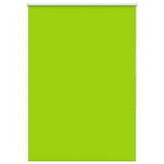 vidaXL Rullgardin mörkläggning blad grön 95x150 cm tyg bredd 90,7 cm