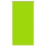 vidaXL Rullgardin mörkläggning blad grön 65x175 cm tyg bredd 60,7 cm