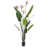 Emerald Konstväxt papegojblomma i kruka med 4 blommor 150 cm