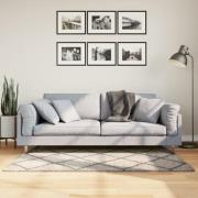 vidaXL Ryamatta PAMPLONA lång lugg modern beige & antracit 80x150 cm