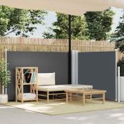 vidaXL Infällbar sidomarkis antracit 120x1000 cm