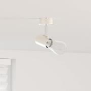 vidaXL Takspotlight Borstad nickel 6.5 x 6 x 11.5 cm Stål